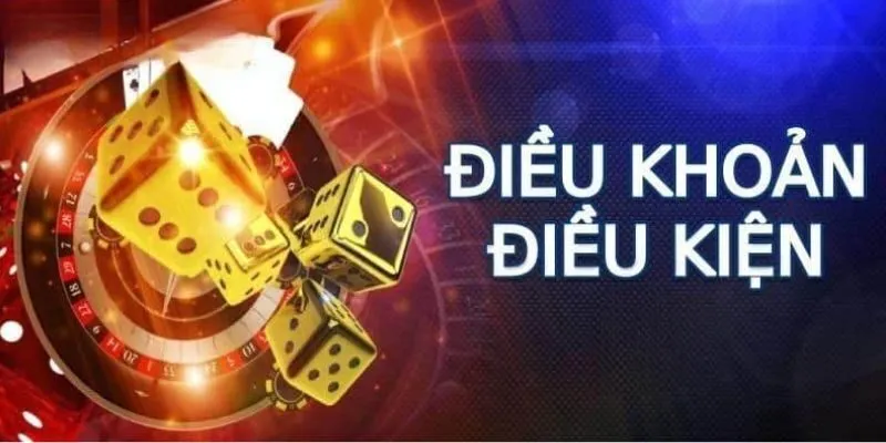 Giới thiệu chung về điều khoản điều kiện Ricwin